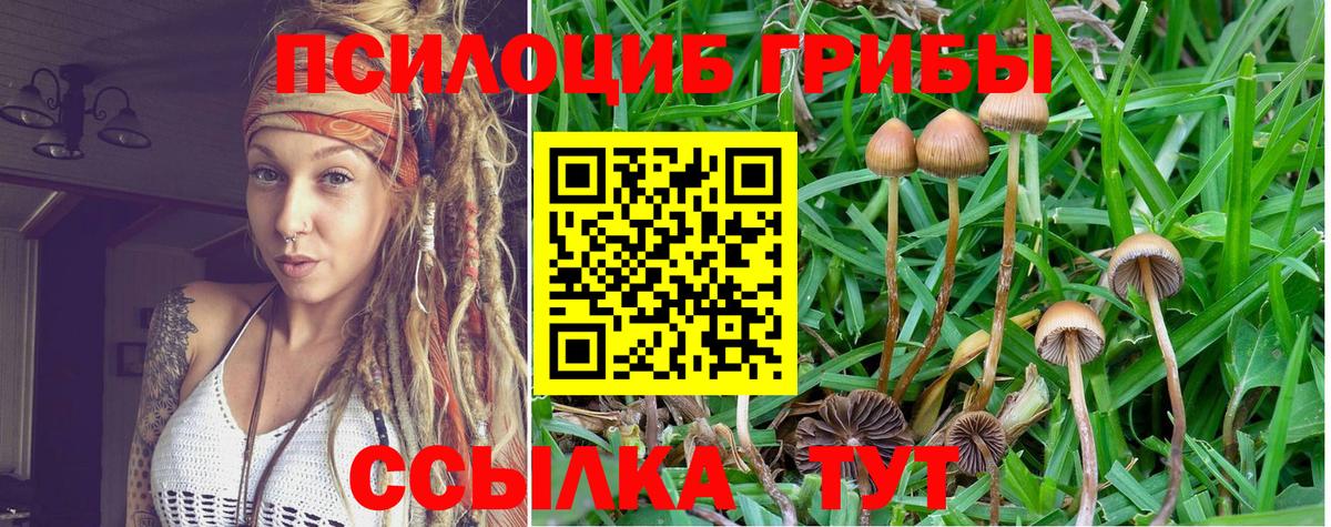 Галлюциногенные грибы Magic Shrooms Миасс