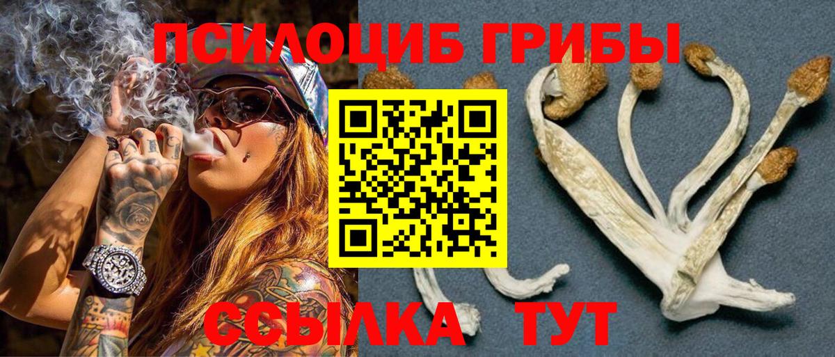 Галлюциногенные грибы MAGIC MUSHROOMS  Вход с VPN  Миасс 